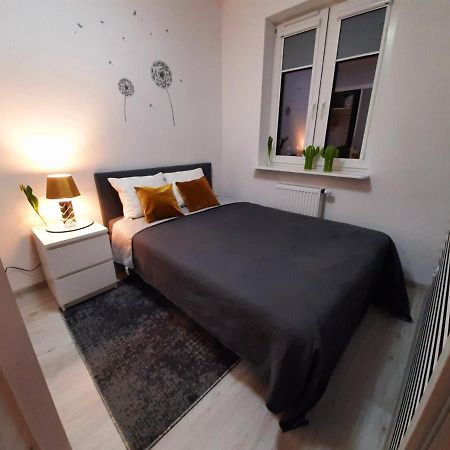 Apartament 60 Płock Eksteriør bilde