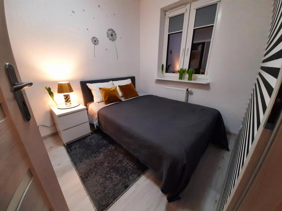 Apartament 60 Płock Eksteriør bilde
