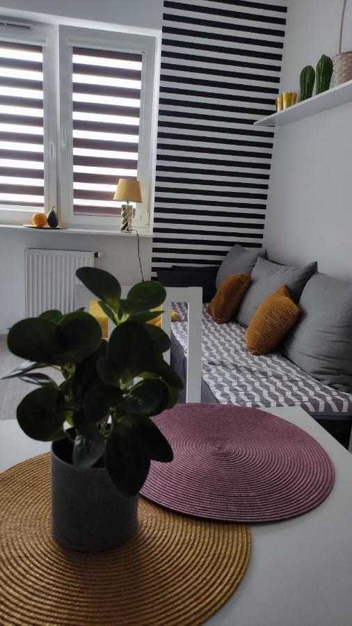 Apartament 60 Płock Eksteriør bilde